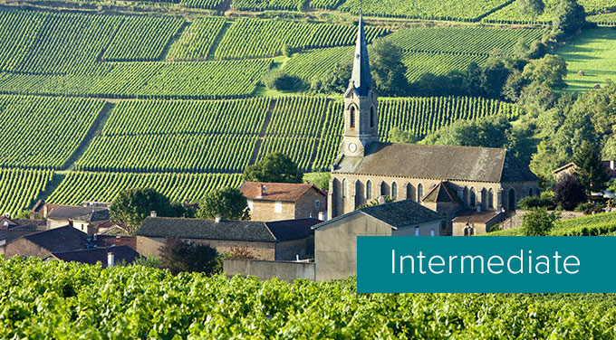 Burgundy-series-image.jpg