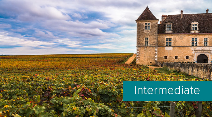 Burgundy-vineyard.jpg