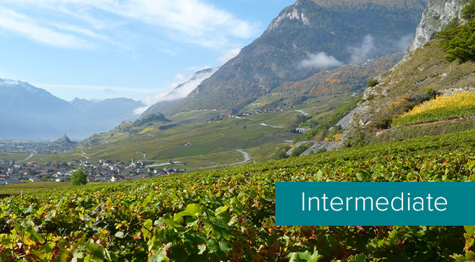 Tasting-level-events-Swiss.jpg